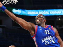 Rakamlarla Anadolu Efes...